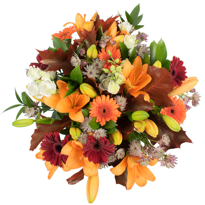 Seen from an overhead angle on a pure white field, this densely packed autumn bouquet reads as a study in warm contrasts and thoughtful texture. Large orange Asiatic lilies dominate, their trumpet forms open wide and their stamens softened or discreetly hidden so the petals themselves announce glossy, luminous colour. Tightly furled lily buds in pale orange and lively green sit throughout the design, lending a sense of unfolding life and future bloom. Bright orange and deep burgundy Gerbera daisies create rhythmic accents-each with a dark central disk that anchors the bright rays of petals-while clusters of creamy white Lisianthus (or mini roses) introduce gentle, ruffled pockets of lightness. Delicate mauve to grey-lilac Astrantia bring filigree detail, their tiny star-shaped florets offering a subtly vintage texture that contrasts with the larger, bolder flowers. Spotting the composition are several broad, lobed leaves in warm reddish-brown, deliberately placed to mimic freshly fallen oak leaves and enhance the autumnal narrative; surrounding green leaves and slender green stems keep the palette grounded and lively. The arrangement is meticulously lit so colours pop against the white background, highlighting petal textures-from silky to papery-and the layered depth of the bouquet. As a florist working around Old Oak Common and routes toward North Acton and Wormwood Scrubs, I often assemble pieces like this for seasonal centrepieces and Thanksgiving tables: they carry the comforting aroma of late-year blooms and the visual warmth of the turning season. For customers who ask for a locally inspired autumn bouquet, Flower Delivery Old Oak Common creates this kind of abundant, tactile design with attention to balance and bloom life.